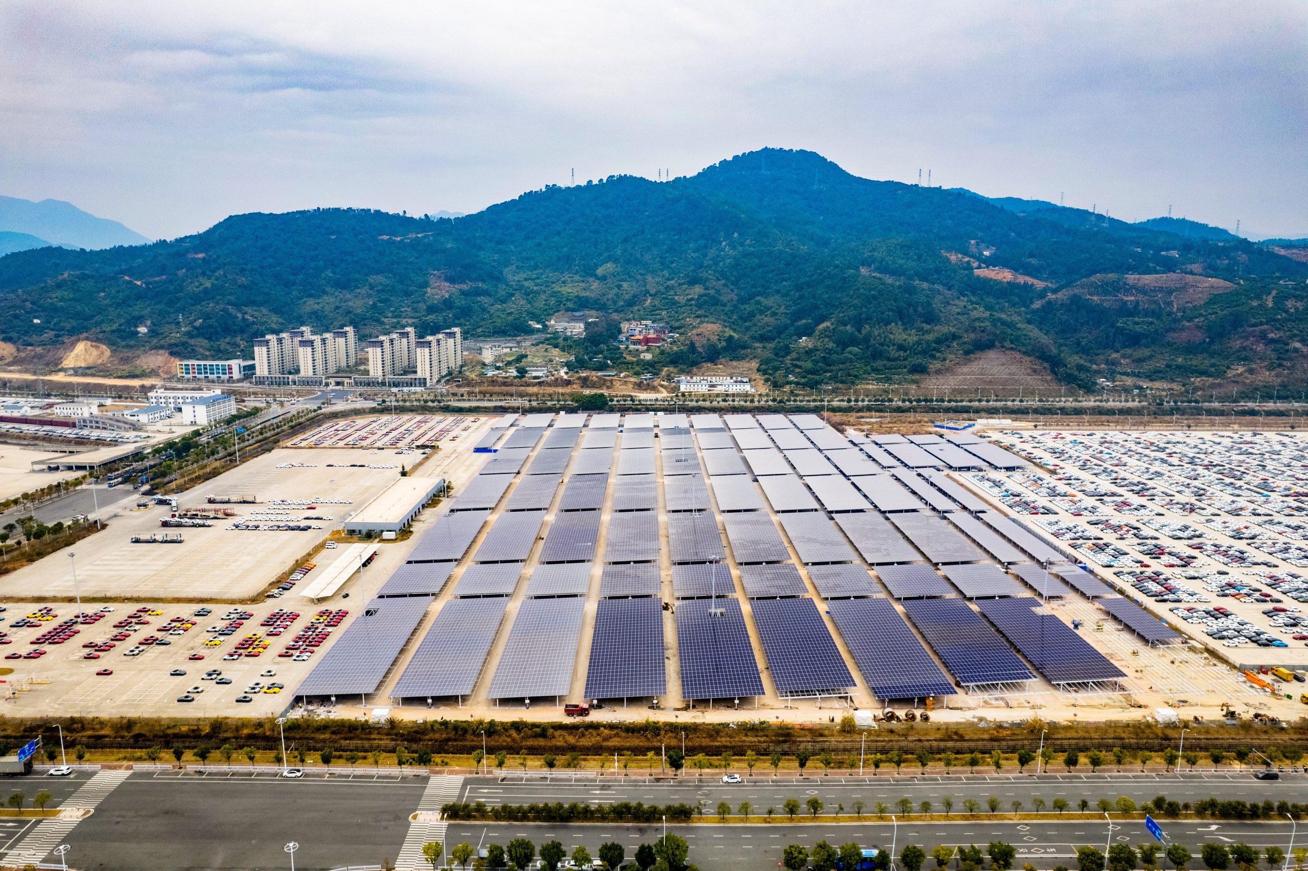 诚信为本 专业服务